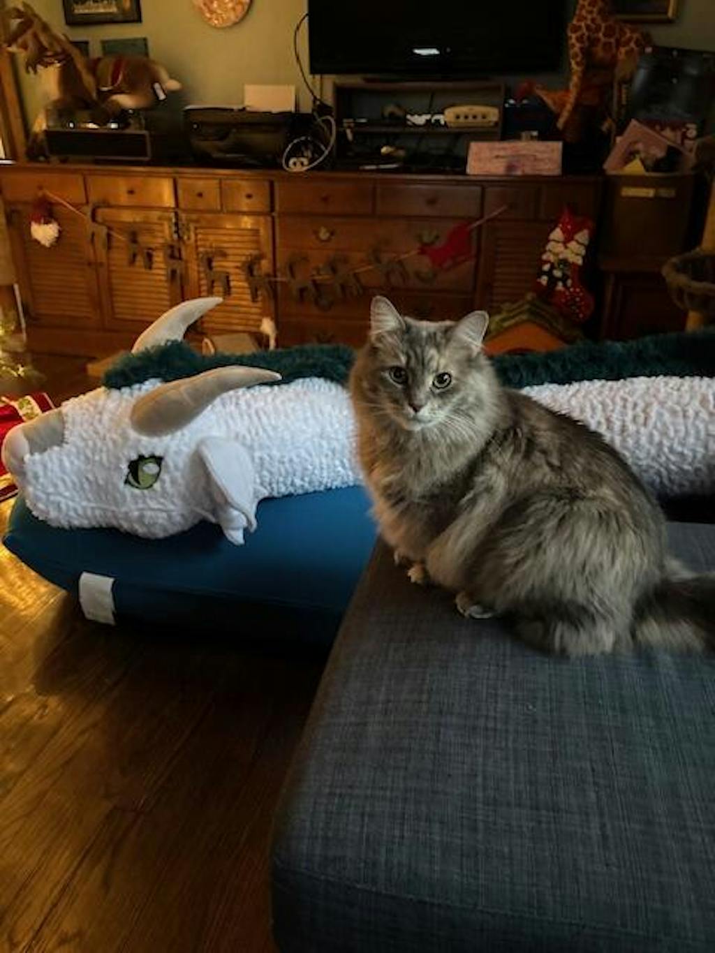 Bookwyrm Reading Pillow