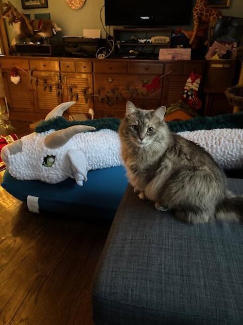 Bookwyrm Reading Pillow