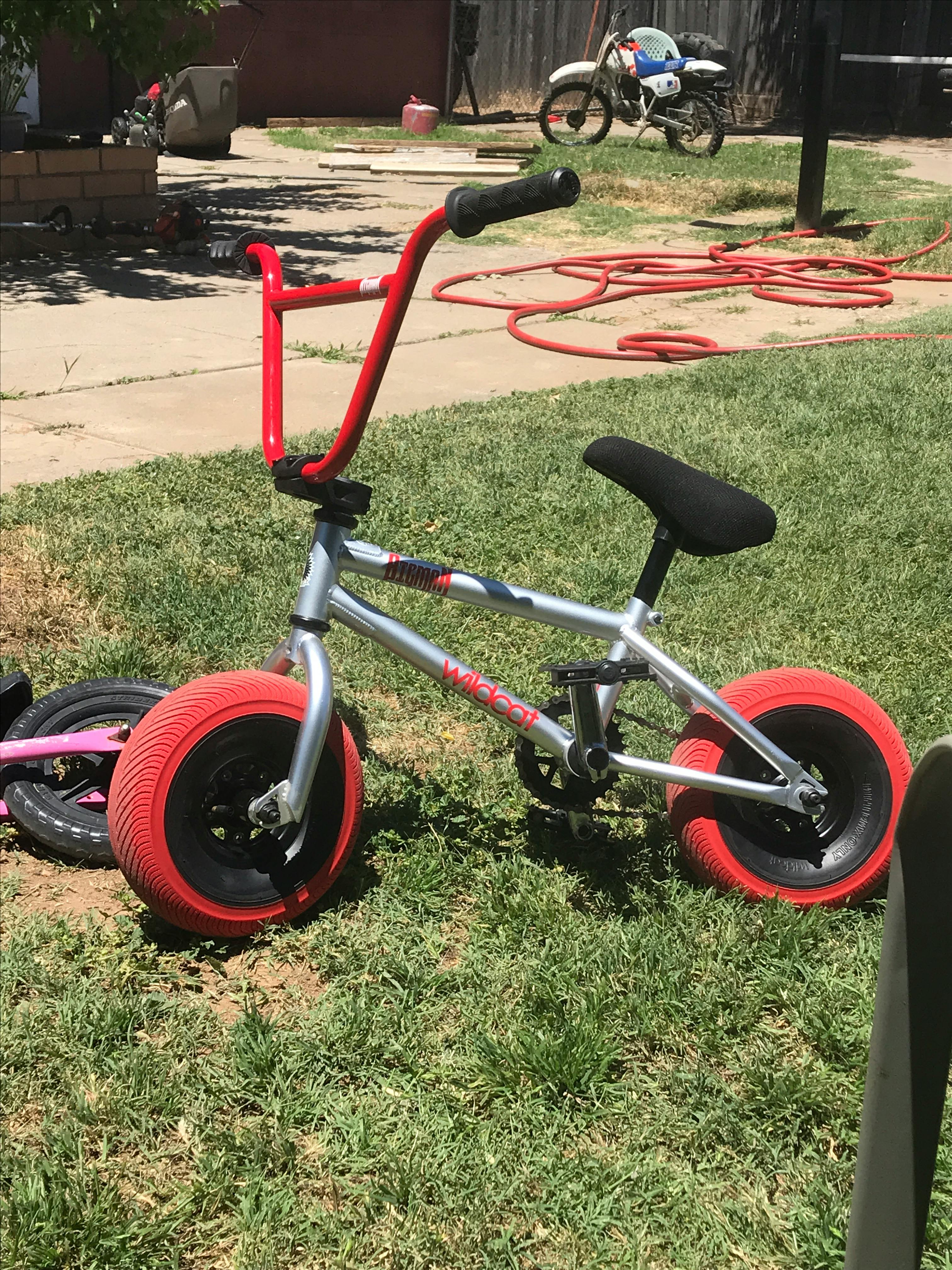 Wildcat Mini BMX