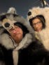 THE POLAR BEAR COAT, v4