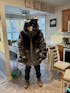 THE TIMBER WOLF COAT, v4