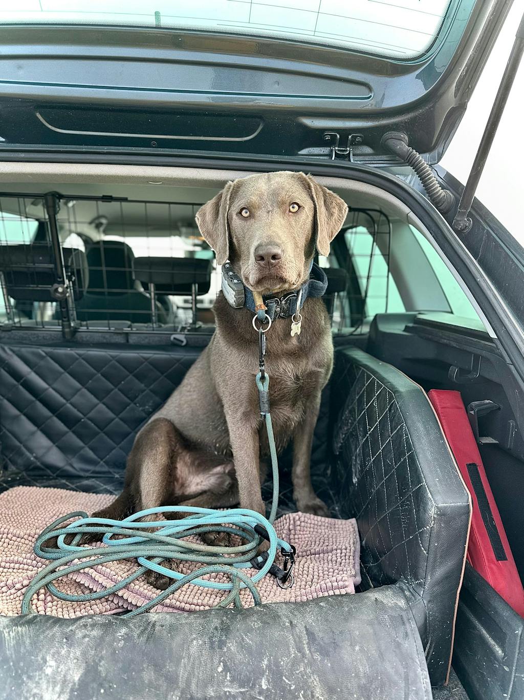 Convertible Leash – Slim (7–8 mm Rope)