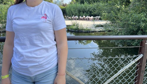 Flamingo T-Shirt