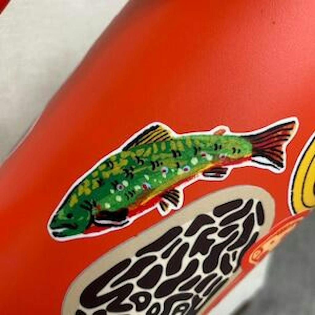 Brook Trout Sticker Wildship Studio