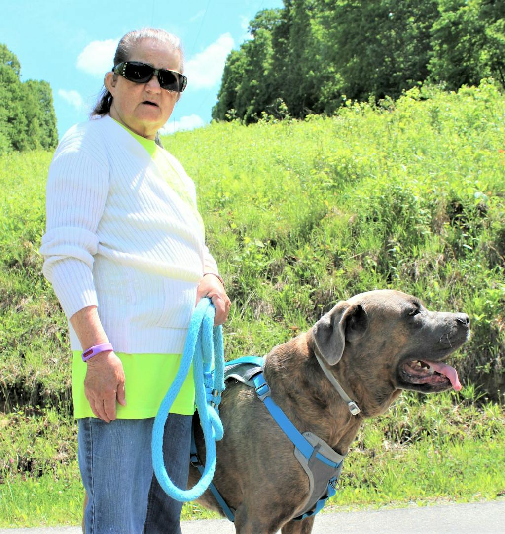 Repello™ Human AntiFlea, Tick, & Mosquito Bracelet (Advanced Protec