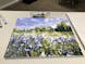 Wild Flower Field - Paint by Numbers Kit for Adults
