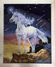 The King Unicorn - Paint by Numbers Kit for Adults