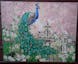 Majestic Peacock - Paint by Numbers Kit for Adults