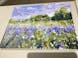 Sunset over the Lavender Field - Paint by Numbers Kit for Adults