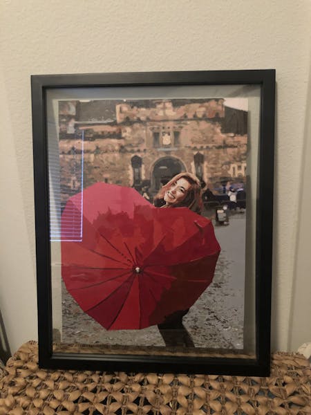 Photo to Custom Paint by Numbers