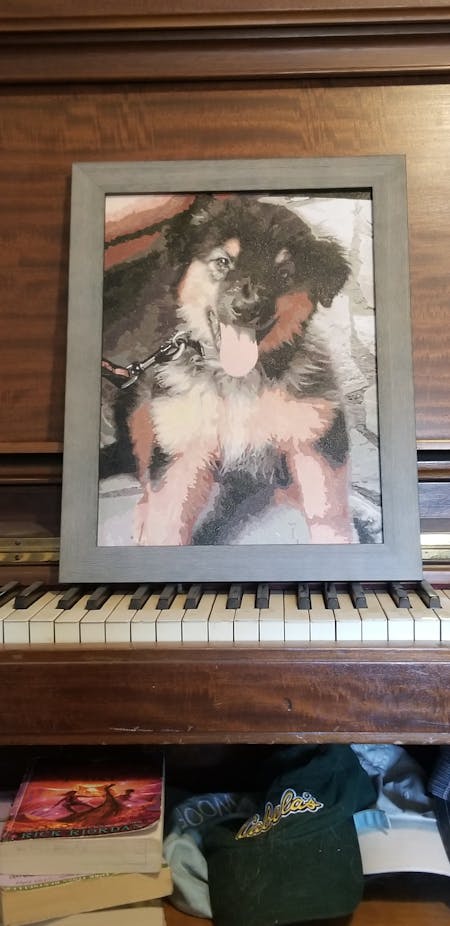 Pet Paint by Numbers