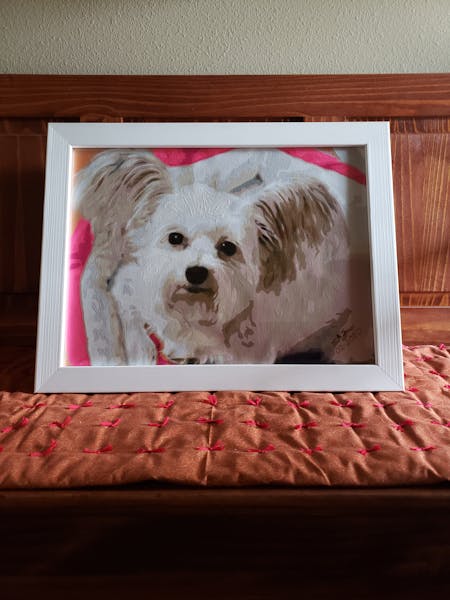 Photo to Custom Paint by Numbers