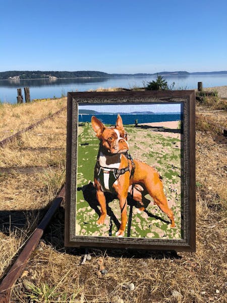 Photo to Custom Paint by Numbers