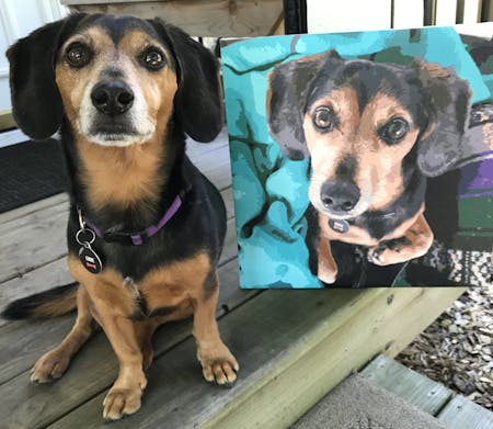 Winnie's Picks