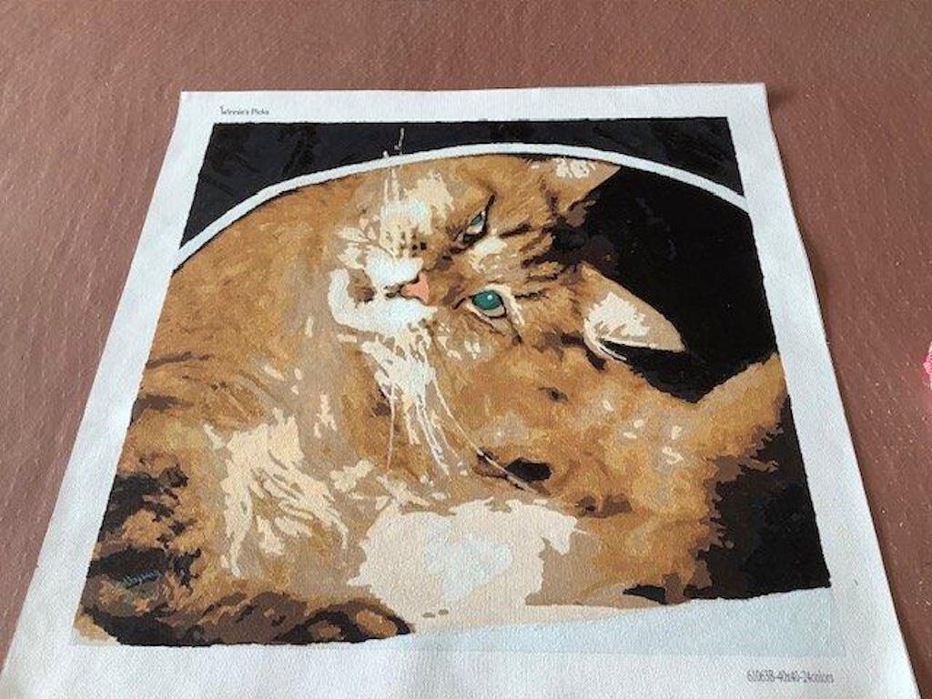 Photo to Custom Paint by Numbers