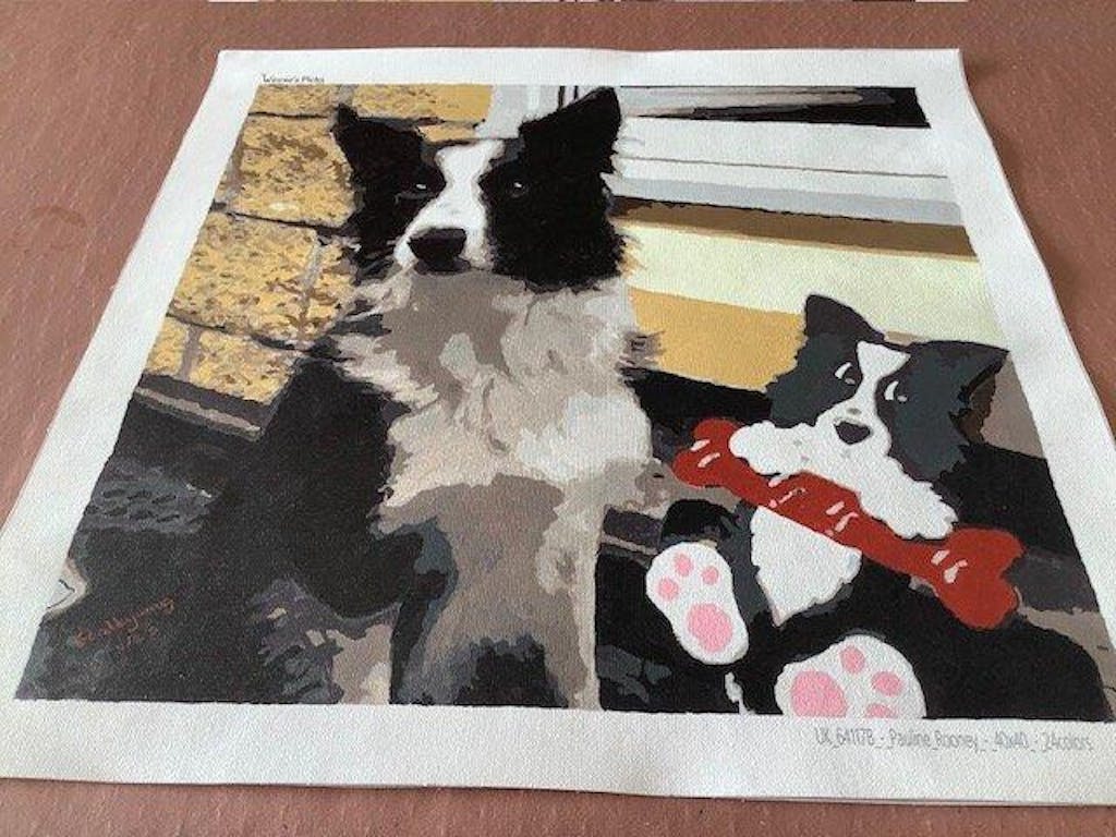 Photo to Custom Paint by Numbers