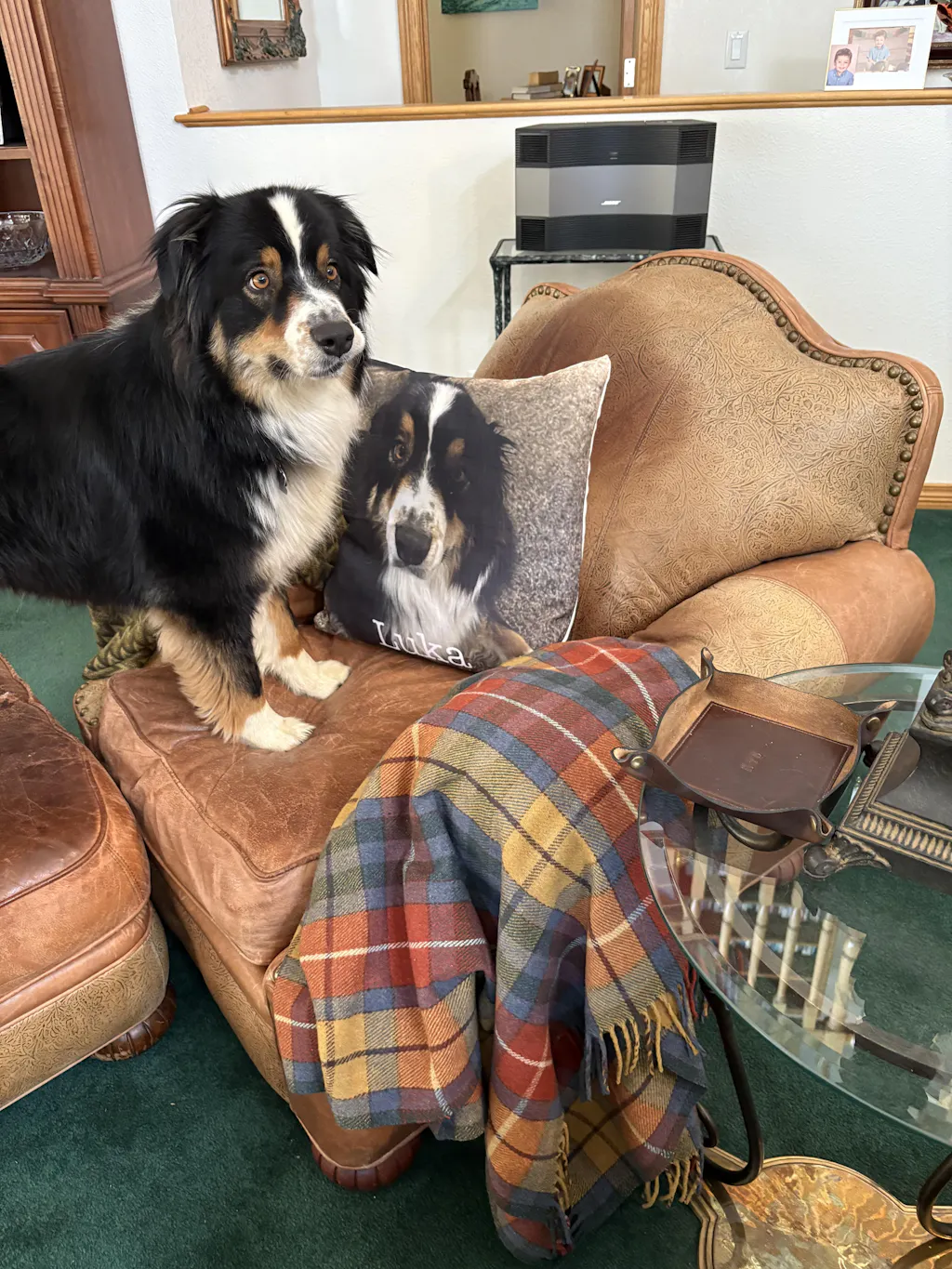 Include Pillow Insert?