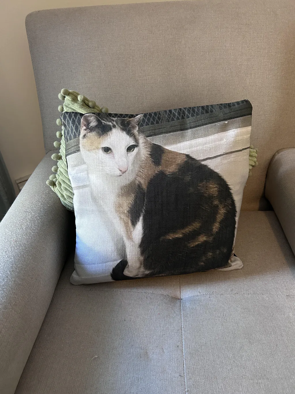 Cat Photo Pillow
