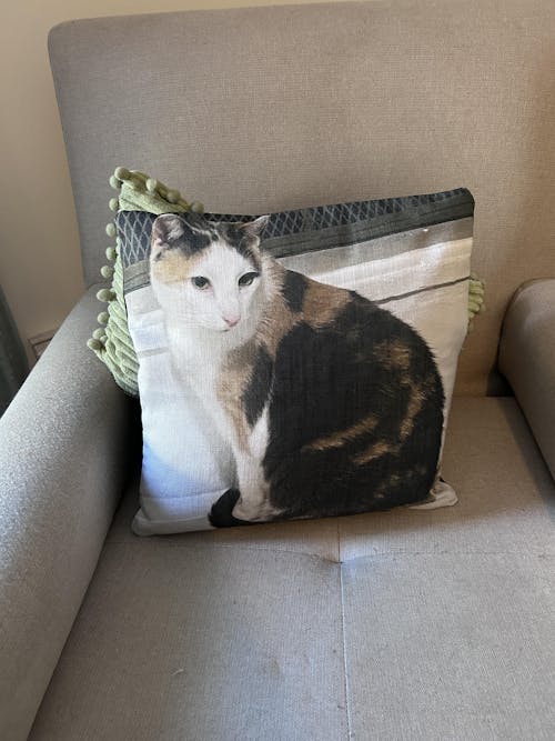 Cat Photo Pillow