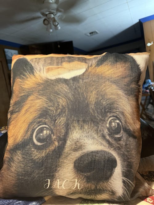 Include Pillow Insert?