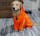 Wise Wag Four Legged Waterproof Dog Raincoat