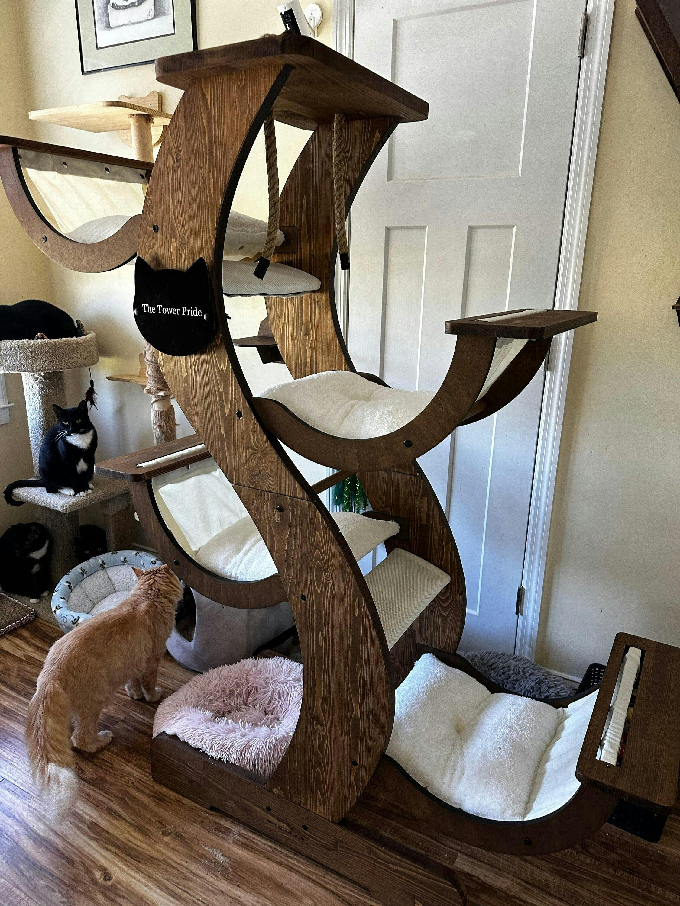 Cat orders tree houses for