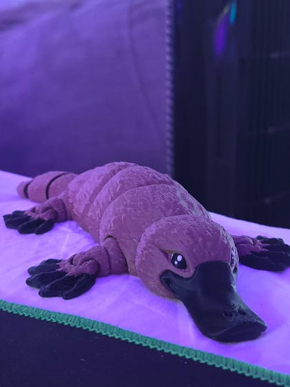 Platypus – WOBBL3D