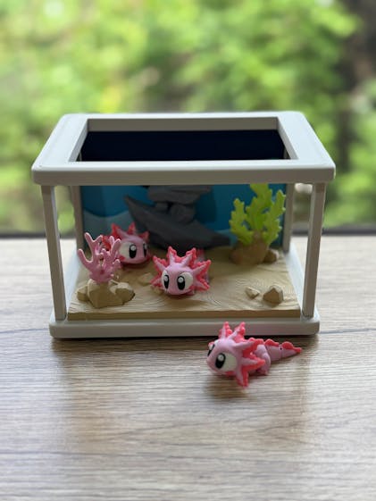 Axolotl Toy Set – WOBBL3D