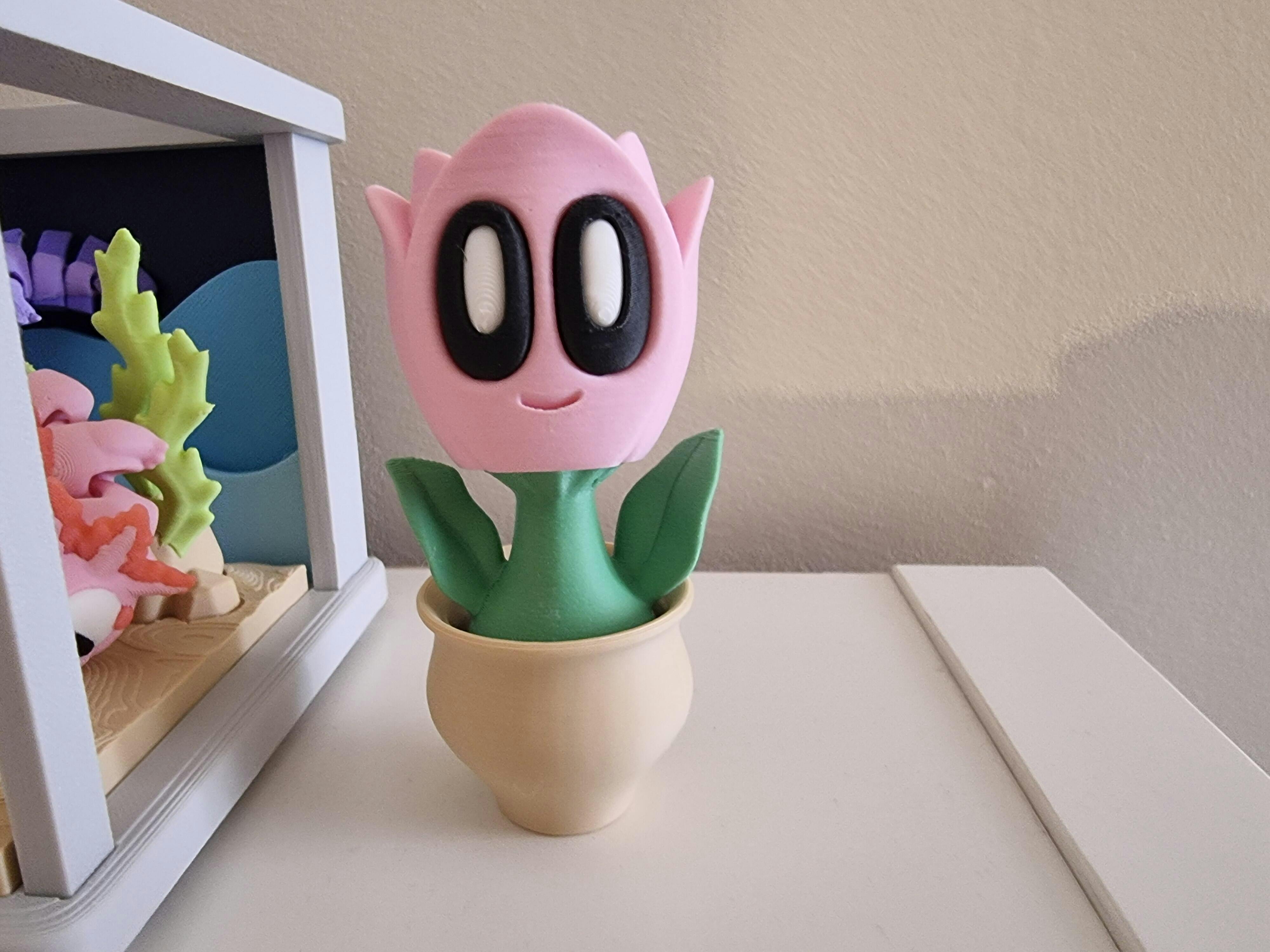 Monstera Plant – WOBBL3D
