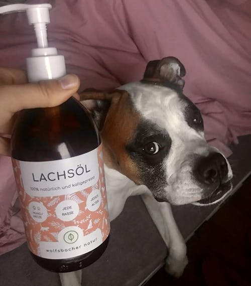 Natürliches Lachsöl für Hunde & Katzen