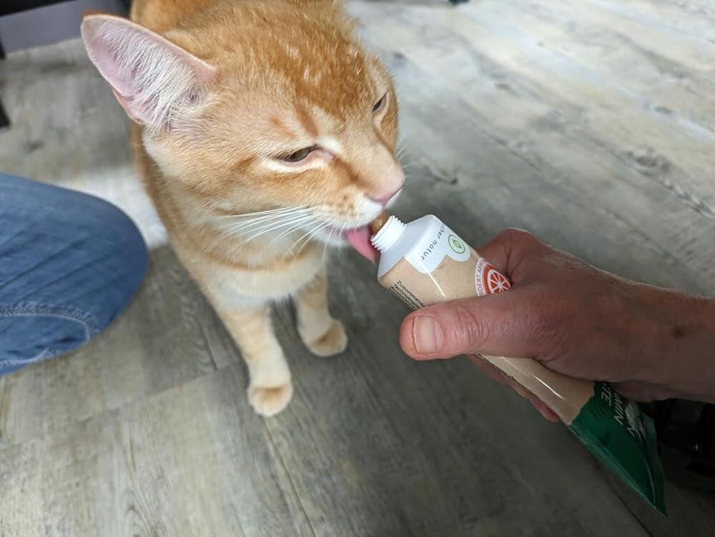 Vitamin Paste für Katzen