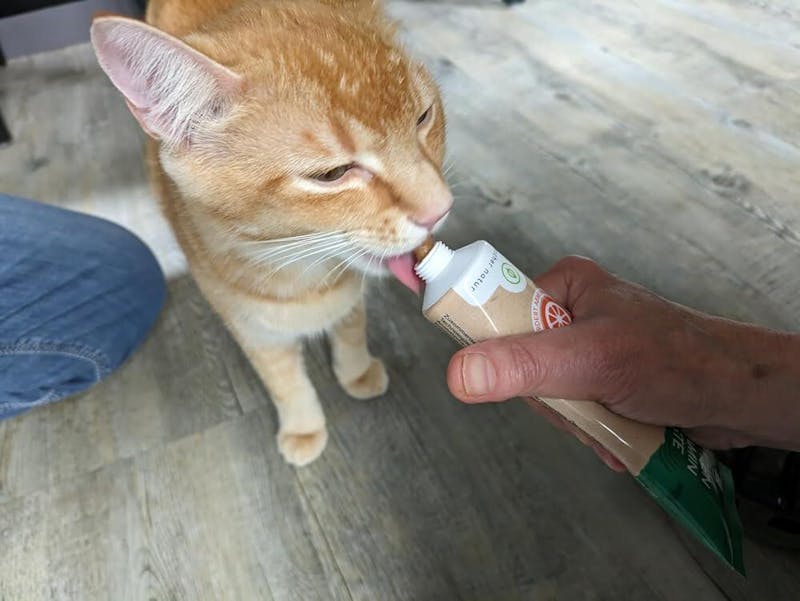 Vitamin Paste für Katzen