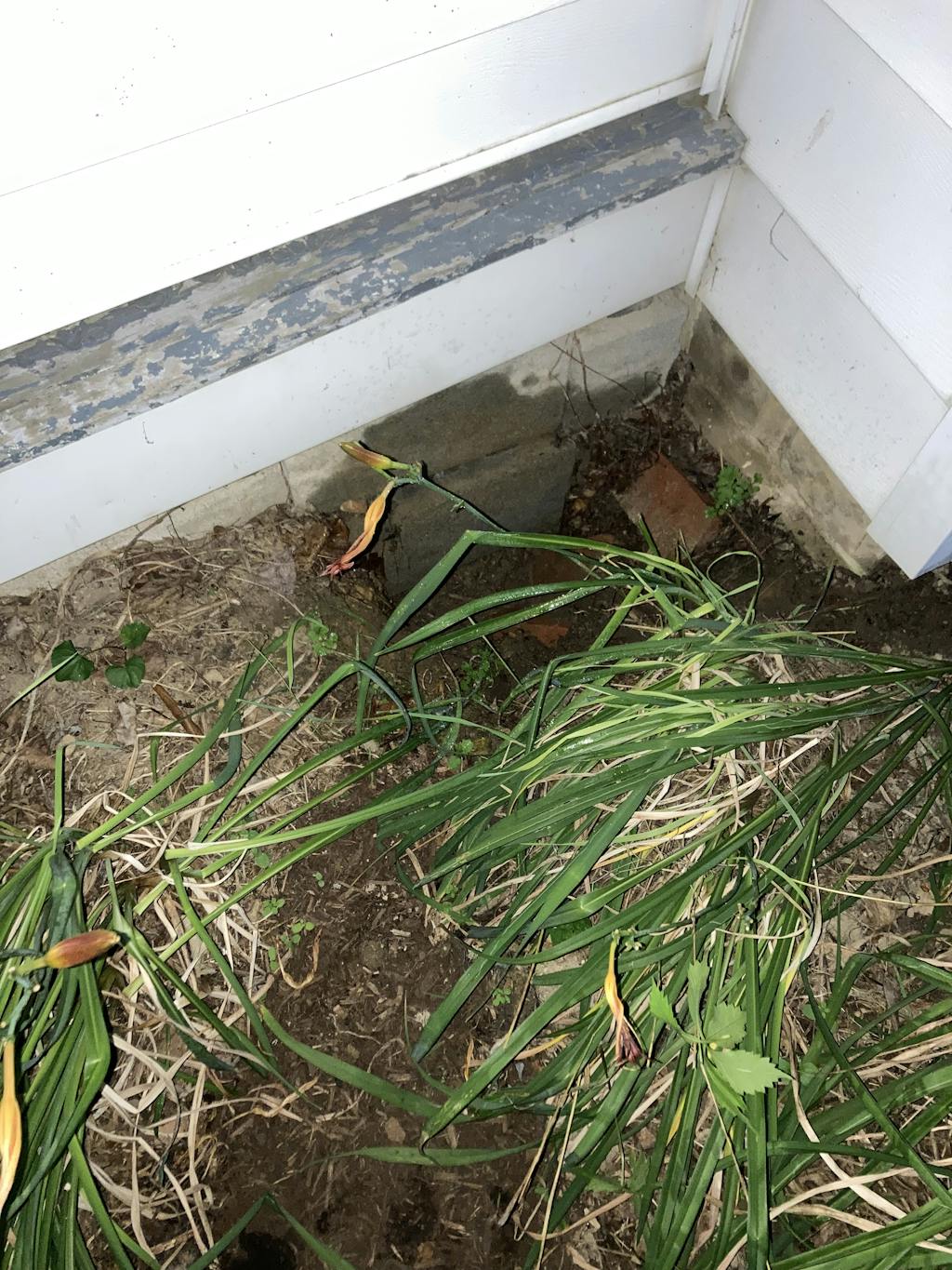 Tunnel Plug and Tunnel Fill Bag Combo Wonder Soil