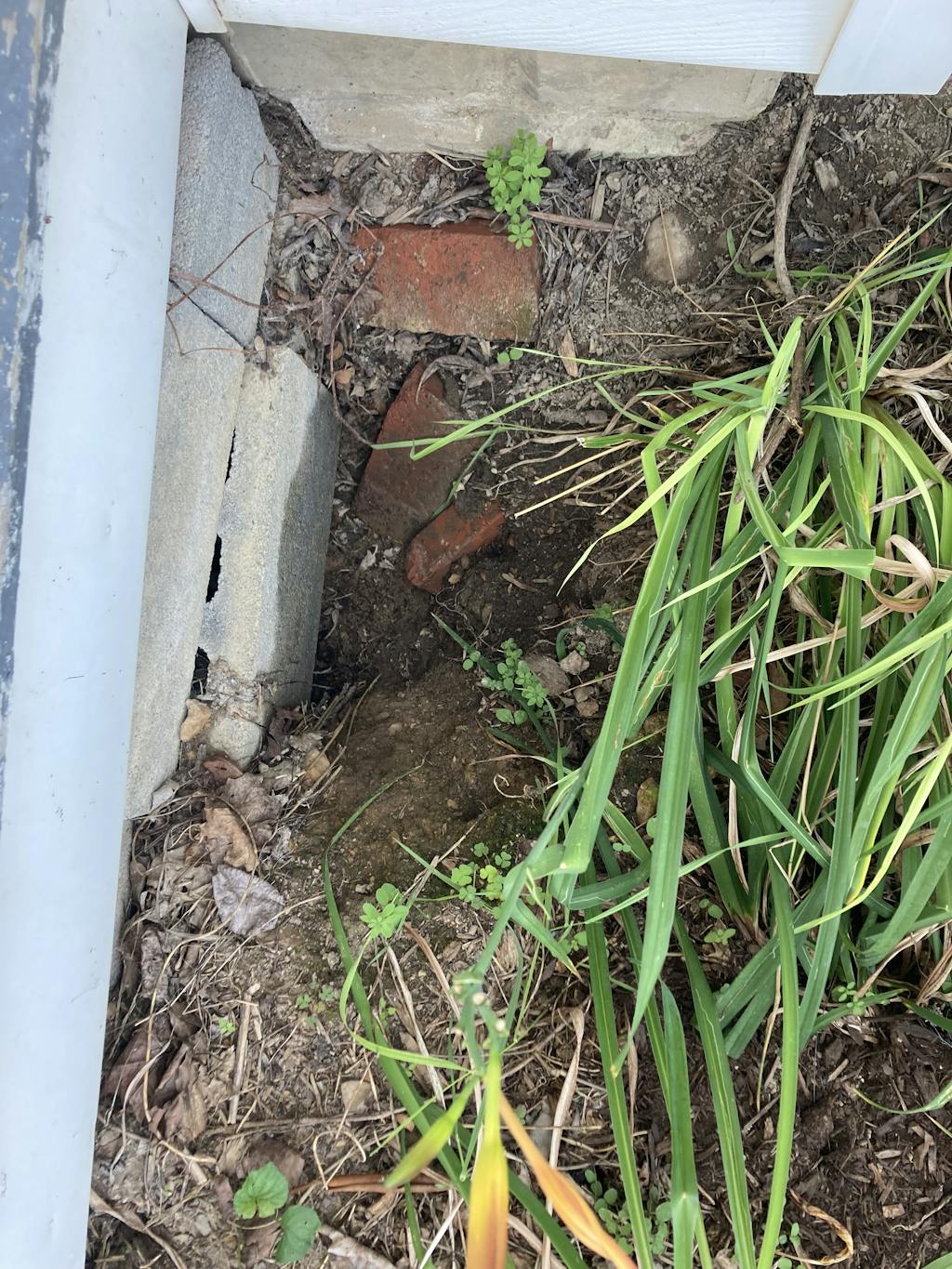 Tunnel Plug and Tunnel Fill Bag Combo Wonder Soil