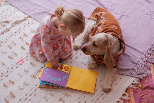 I See Ice Cream Busy Book - Limited Edition