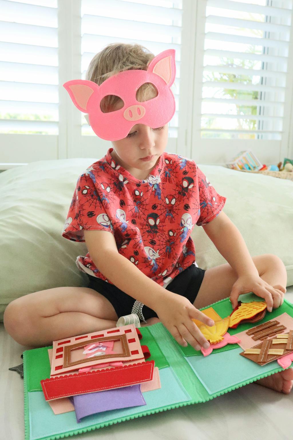 Three Little Pigs Set