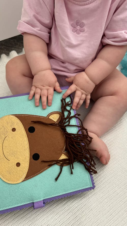 Handsome Horse Peekaboo Book