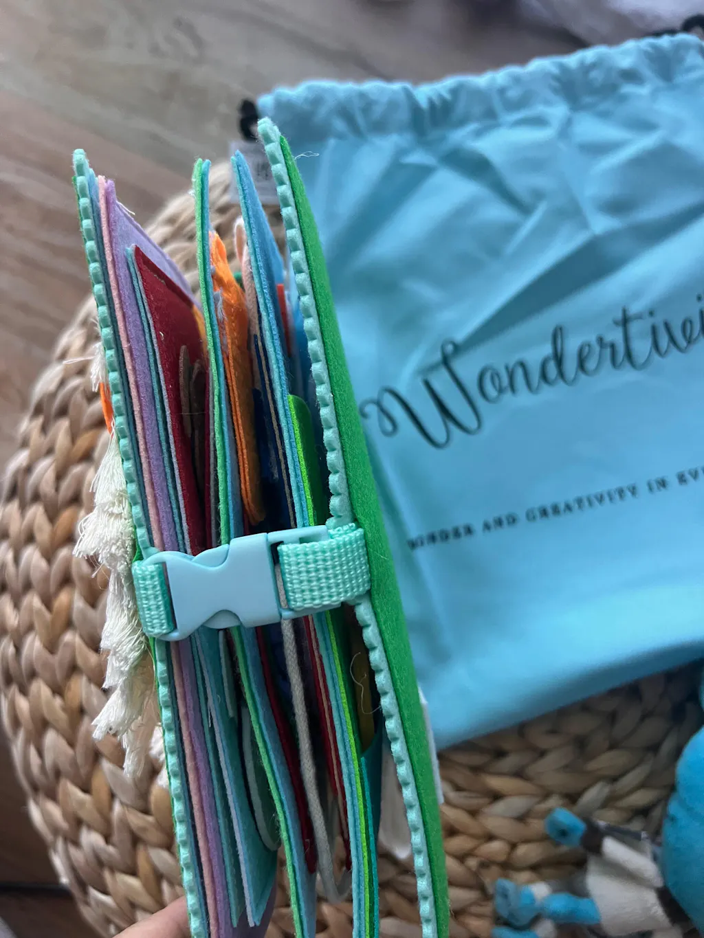 Lucky Lion Toddler Book