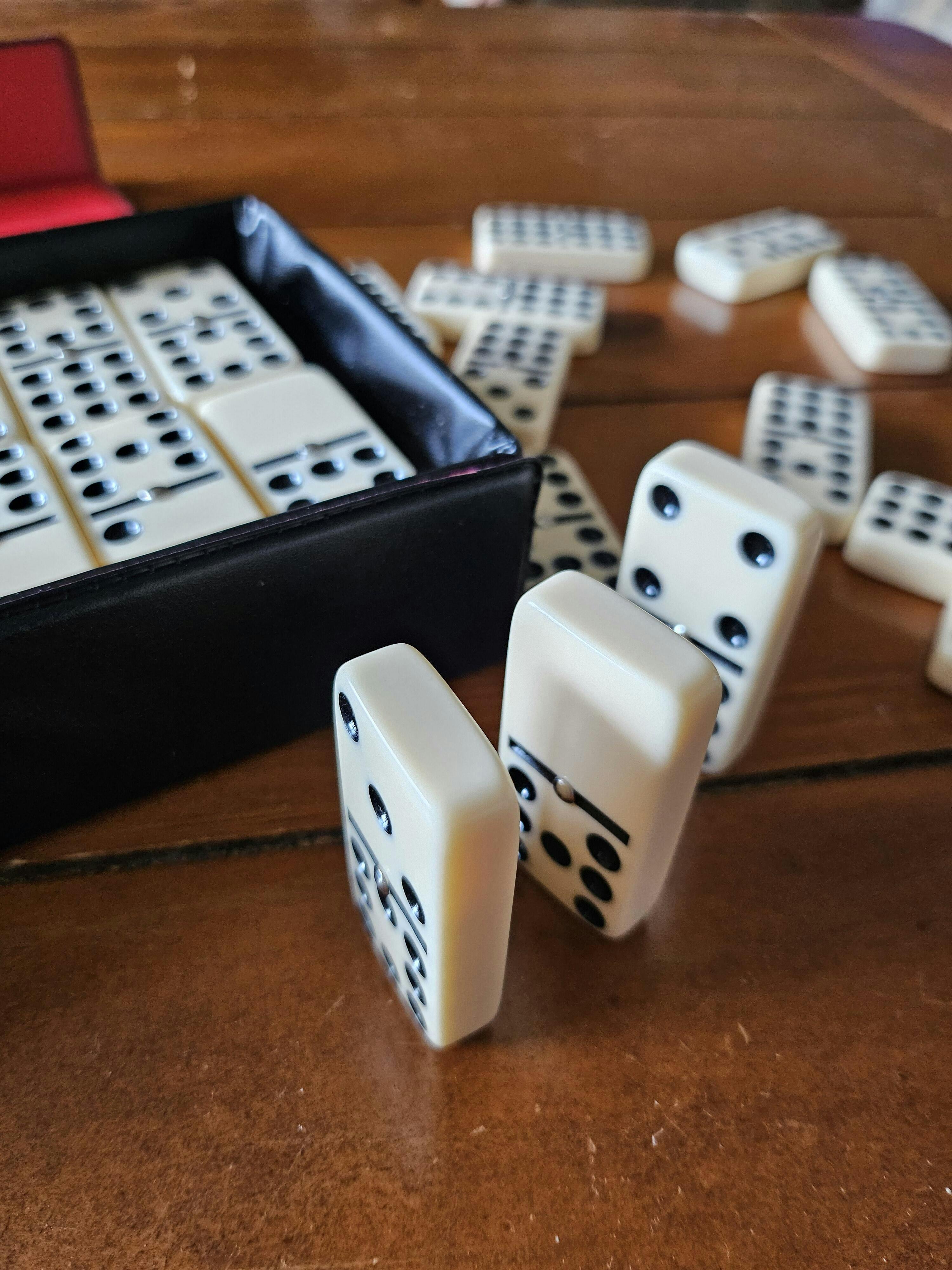 Double Nine Dominoes With Spinners - Thick Size – wood-expressions