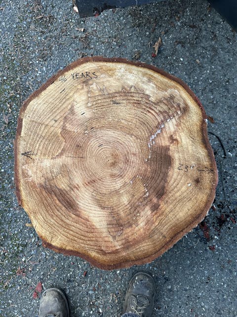 Oregon® 30-Ton 250cc Briggs & Stratton Horizontal / Vertical Log Splitter (OR30TBS-1)