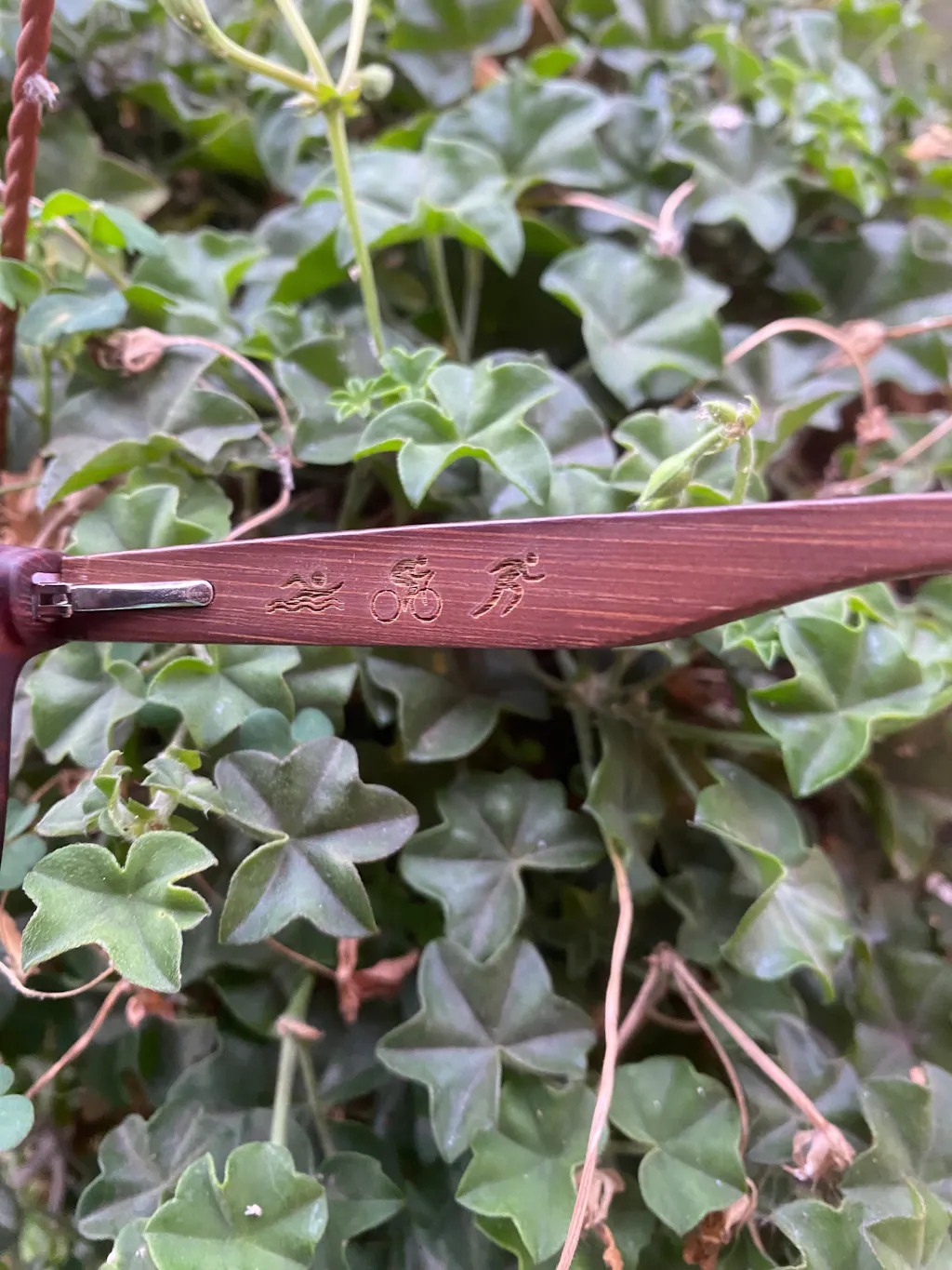 SHOULD I STAY OR SHOULD I GO // Gafas de Sol