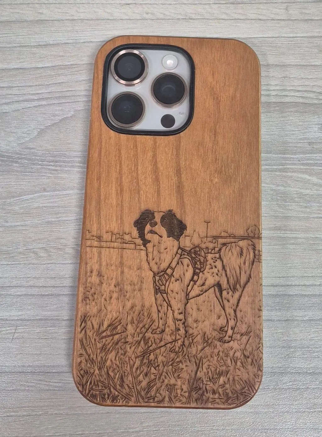 Cases Para iPhone 16 Pro