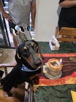 Carob Swirl Tall Cake