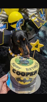 Batman Pawtrait Cake