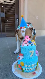 Pay for my Custom Order