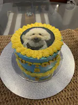Pawtrait Cake