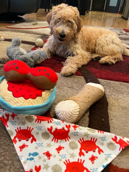 Wild Durable Tiger Plush Dog Toy WoofCrate