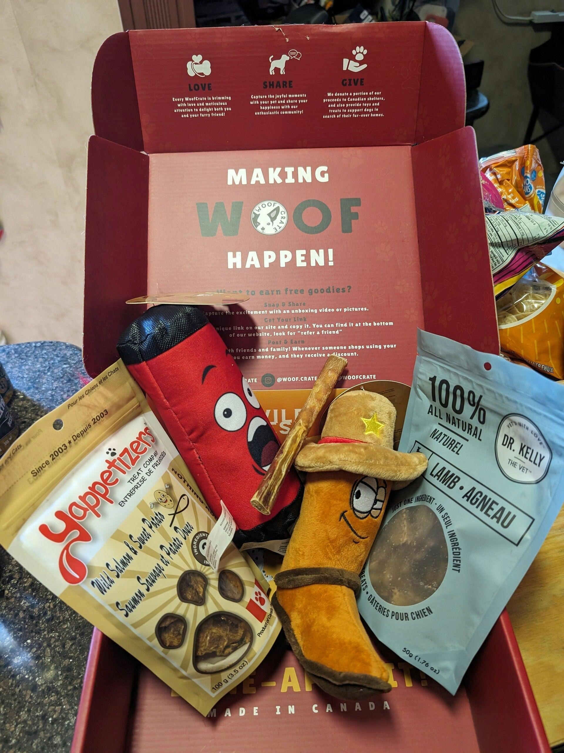 Deluxe Surprise Box of Plush Dog Toys - WoofCrate