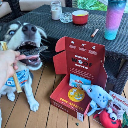 Multi Dog Subscription Box Addon