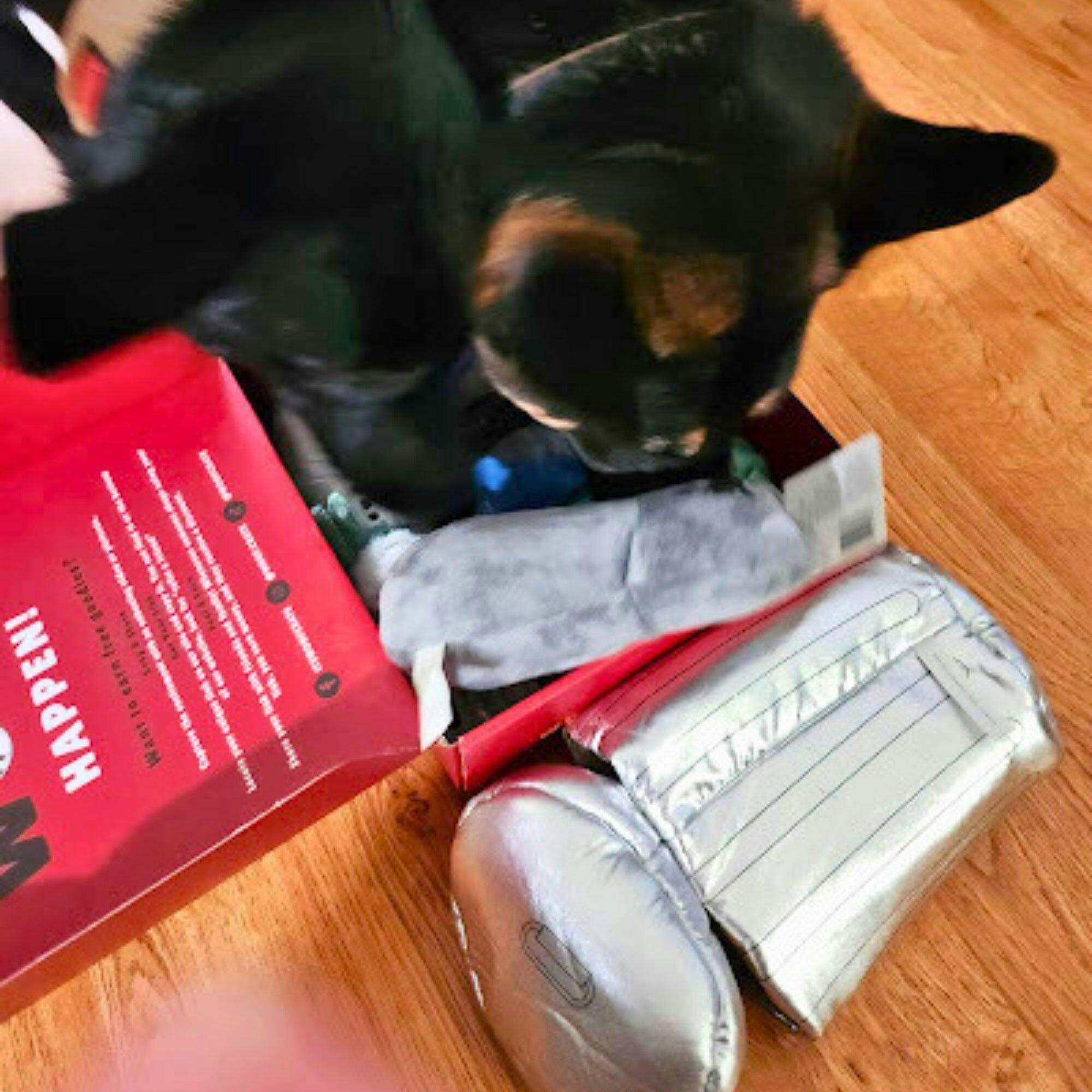 Interactive Squeaky Robix Cube Dog Toy – WoofCrate
